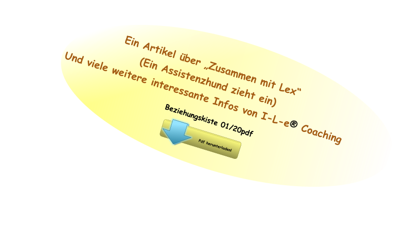 Ein Artikel über „Zusammen mit Lex“  (Ein Assistenzhund zieht ein) Und viele weitere interessante Infos von I-L-e® Coaching  Beziehungskiste 01/20pdf Pdf herunterladen! Pdf herunterladen!