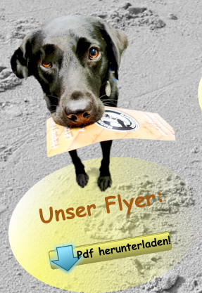 Unser Flyer: Pdf herunterladen! Pdf herunterladen!