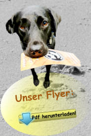 Unser Flyer: Pdf herunterladen! Pdf herunterladen!