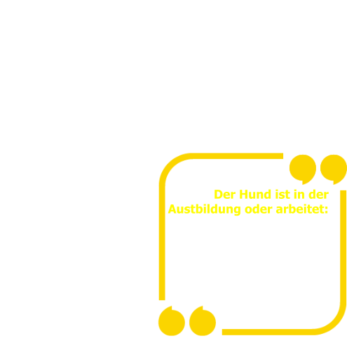 •	als Assistenzhund •	als Therapiehund  (für Menschen die  keinen Kontakt  haben möchten) •	ist im täglichem Training •	       Der Hund ist in der  Austbildung oder arbeitet: