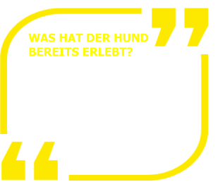 WAS HAT DER HUND  BEREITS ERLEBT?   •	Trauma •	schlechte Erfahrungen •	aus 2. Hand oder Tierschutz •	Deprivationsschäden •	oder ein Angsthund •	u.v.m.